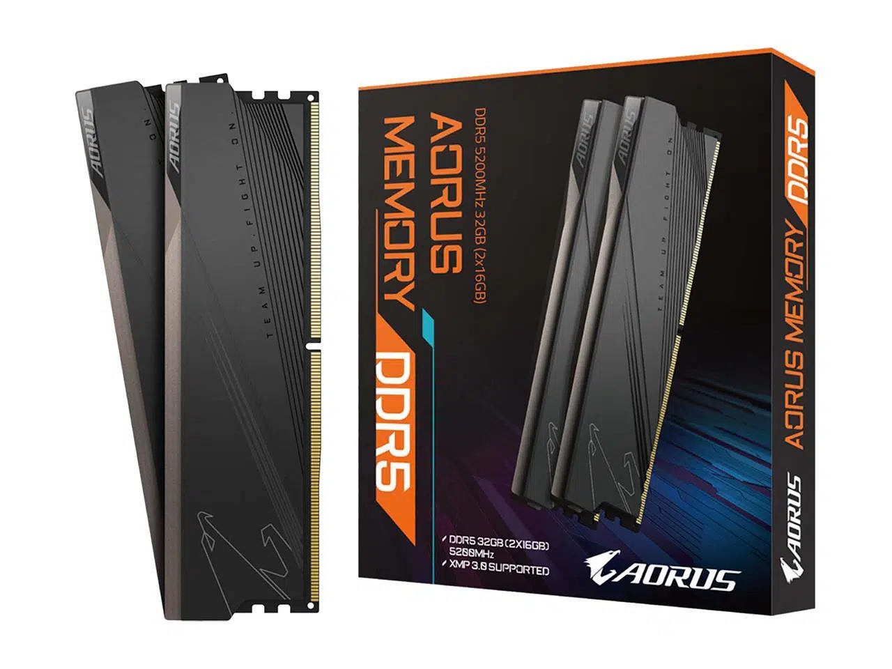 Aorus 32GB DDR5 (2x16)_1 Memoria RAM 32 GB DDR5 (2 x 16GB) 5200 Mhz, Gigabyte AORUS (PC5 41600) Intel XMP 3.0 - Imagen 1